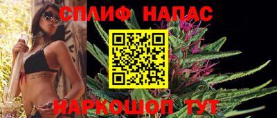 спиды Будённовск
